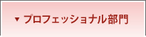 プロフェッショナル部門