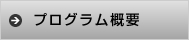 プログラム概要