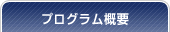プログラム概要