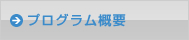 プログラム概要