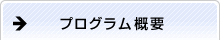 プログラム概要