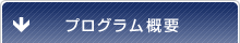 プログラム概要