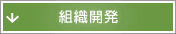 組織開発