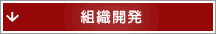 組織開発