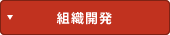 組織開発